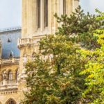 Pèlerinage diocésain à Lourdes 2025