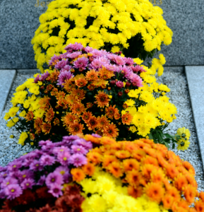 fleurs sur une tombe