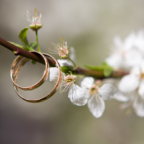 Image - Formations pour ceux qui accompagnent les couples vers le mariage