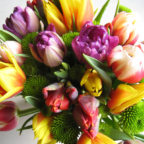 Image - Formation initiale au fleurissement pour la liturgie